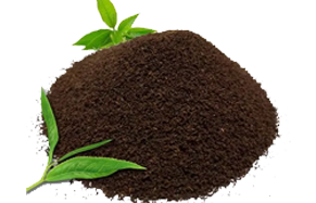 Tea Powder